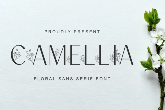 Camellia: A Sans Serif Font That Blooms with Creative Personality